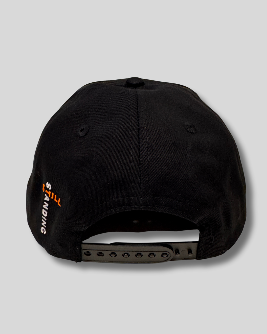 Resilience Snap Back